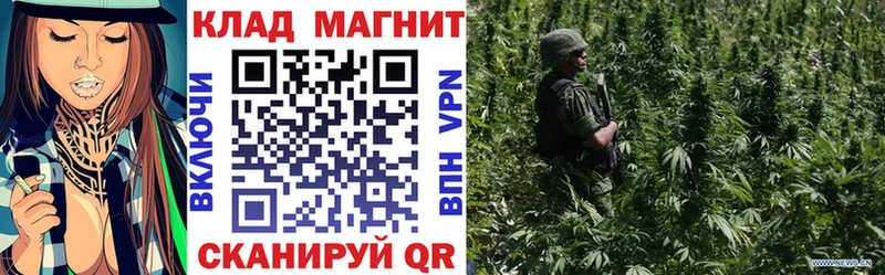 Купить закладку Петрозаводск Галлюциногенные грибы  hydra ссылка  COCAIN  ГАШИШ 