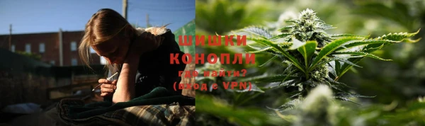 ГАЛЛЮЦИНОГЕННЫЕ ГРИБЫ Зеленодольск