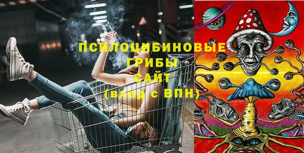 ГАЛЛЮЦИНОГЕННЫЕ ГРИБЫ Зеленодольск