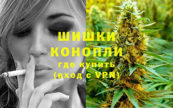 трава Зерноград