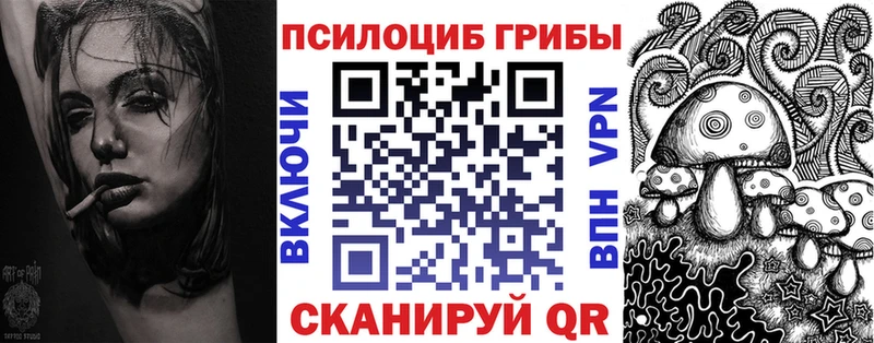 купить   Петрозаводск  Галлюциногенные грибы прущие грибы 