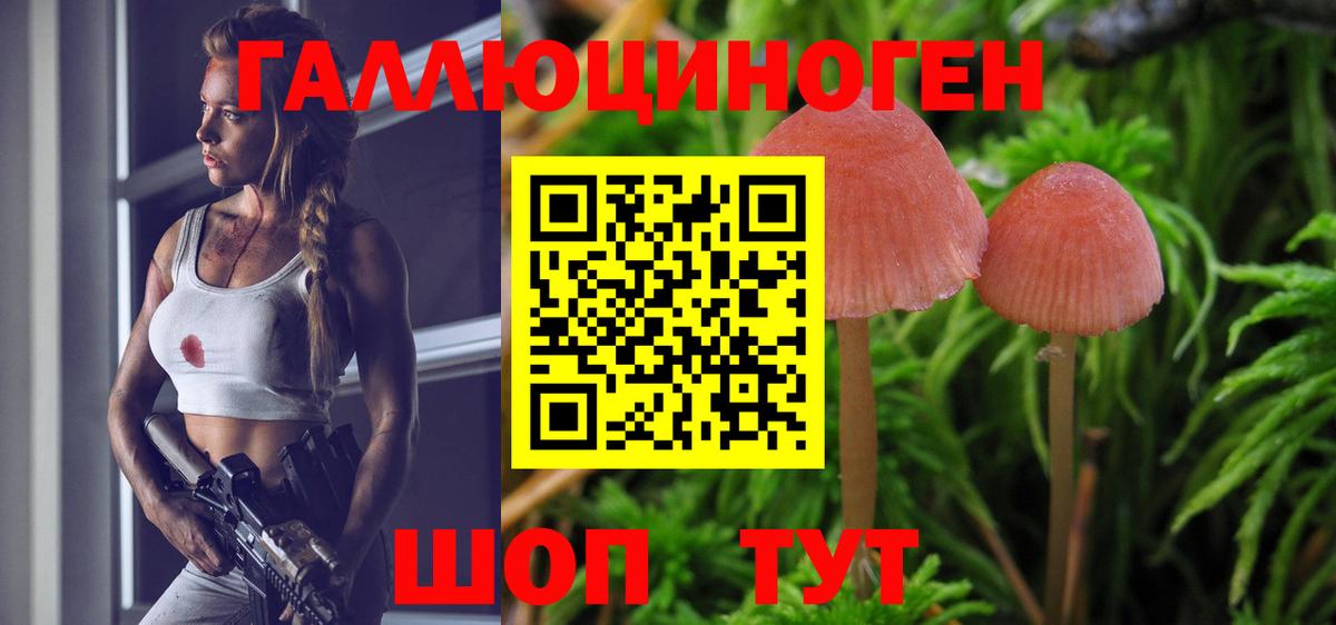 Псилоцибиновые грибы мухоморы  Вход с VPN  Галлюциногенные грибы Cubensis  Петрозаводск 